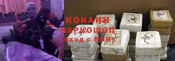 прущие грибы Абаза