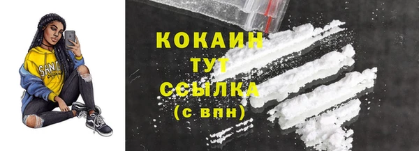 прущие грибы Абаза