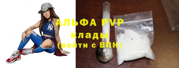 прущие грибы Абдулино