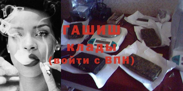 прущие грибы Абаза