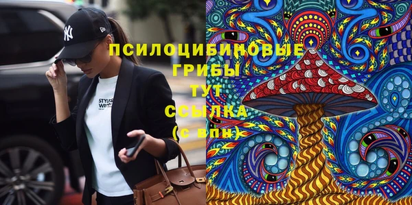 прущие грибы Абаза