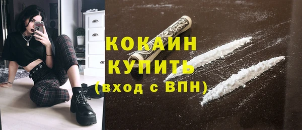 прущие грибы Абаза