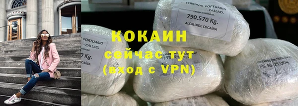прущие грибы Абаза